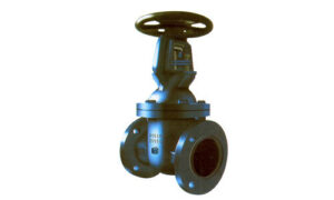 pn16-cast-iron-gate-valve-580